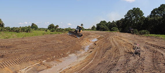 Land Clearing